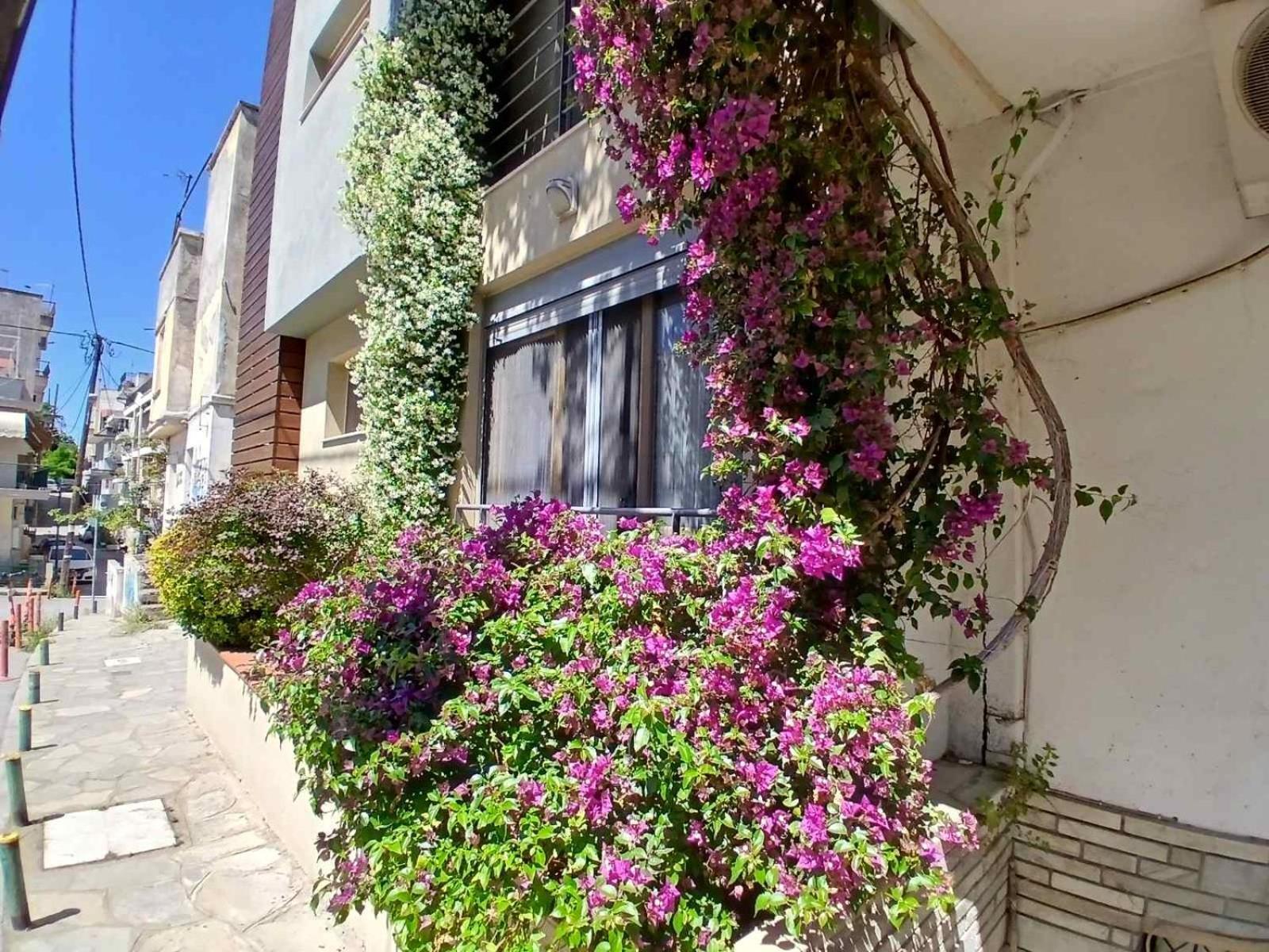 Quiet Urban Studio With Private Backyard Saloniki Zewnętrze zdjęcie